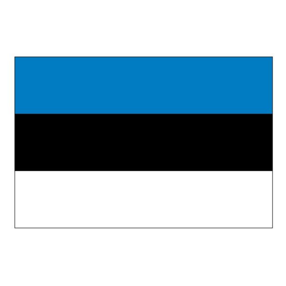 Estonian Translation A Detailed Guide To Estonian Translation Services